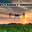 On Target Drones logo